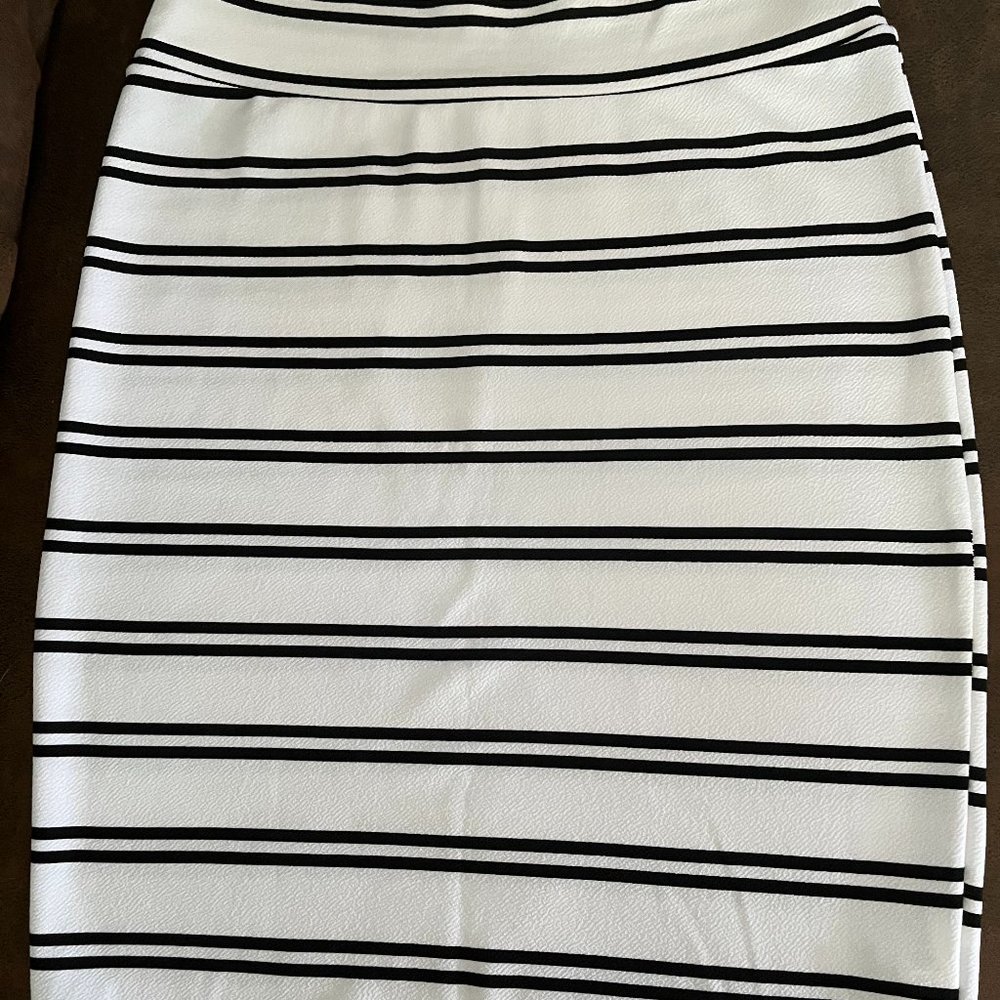 LuLaRoe Pencil Skirt (L) - 113
